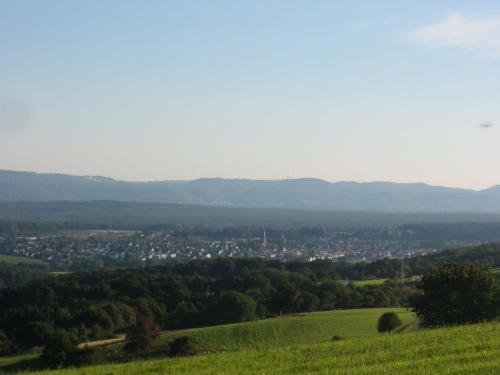 Appartamento Panorama Gasthof Stemler Eulenbis Esterno foto